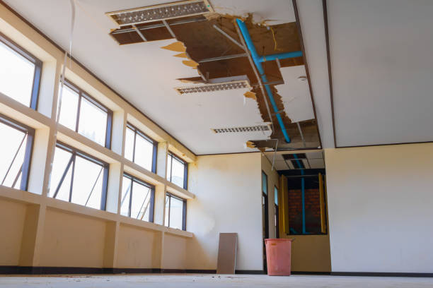 Best Local water damage restoration  in Bonneauville, PA