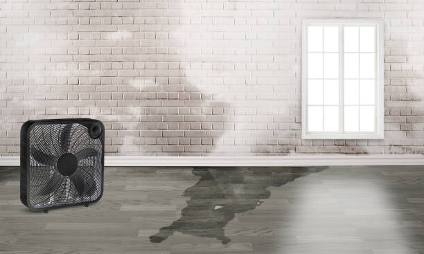 Professional Water damage restoration in Bonneauville, PA